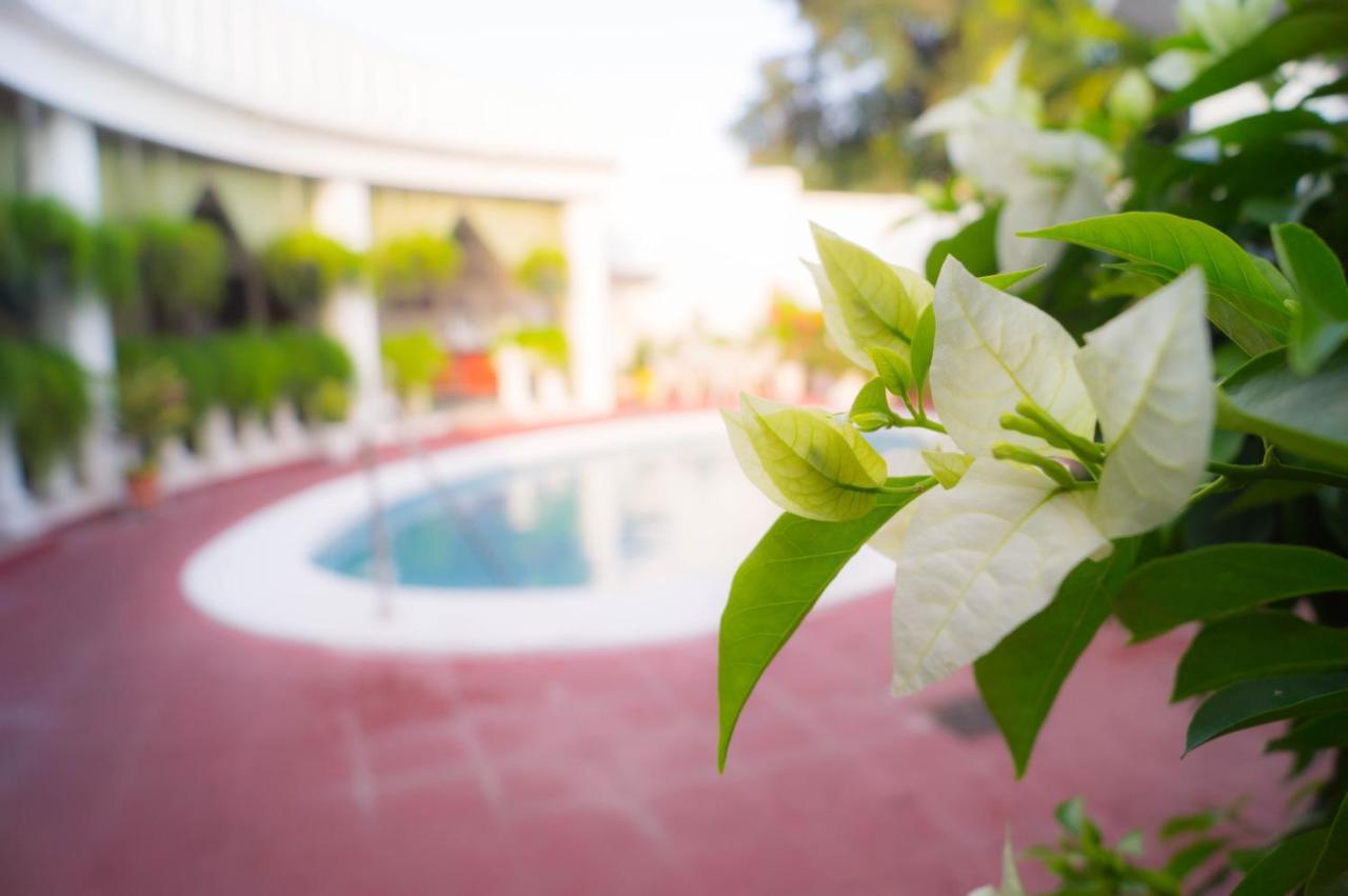 Hotel Grecia Real Σαν Σαλβαντόρ Εξωτερικό φωτογραφία